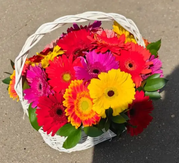Яркий день